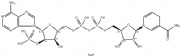 Dihydronicotinamide-adenine dinucleotide phosphate tetrasodium salt