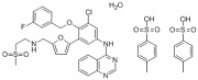 Lapatinib ditosylate monohydrate