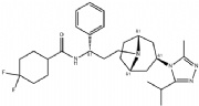 马拉维若