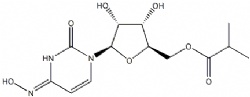 Molnupiravir