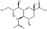 N-Acetylneuraminic acid