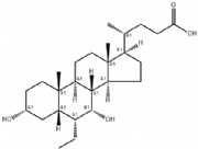 Obeticholic Acid