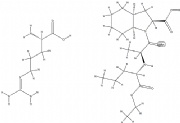 Perindopril L-Arginine