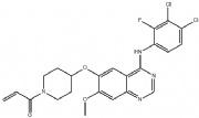 Poziotinib (HM781-36B)