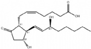 Prostaglandin E2