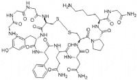 Terlipressin