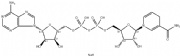 beta-Nicotinamide adenine dinucleotide disodium salt