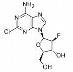 Clofarabine