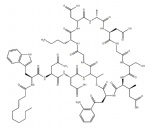 Daptomycin