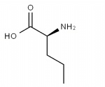 L-Norvaline