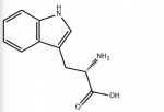 L-Tryptophan